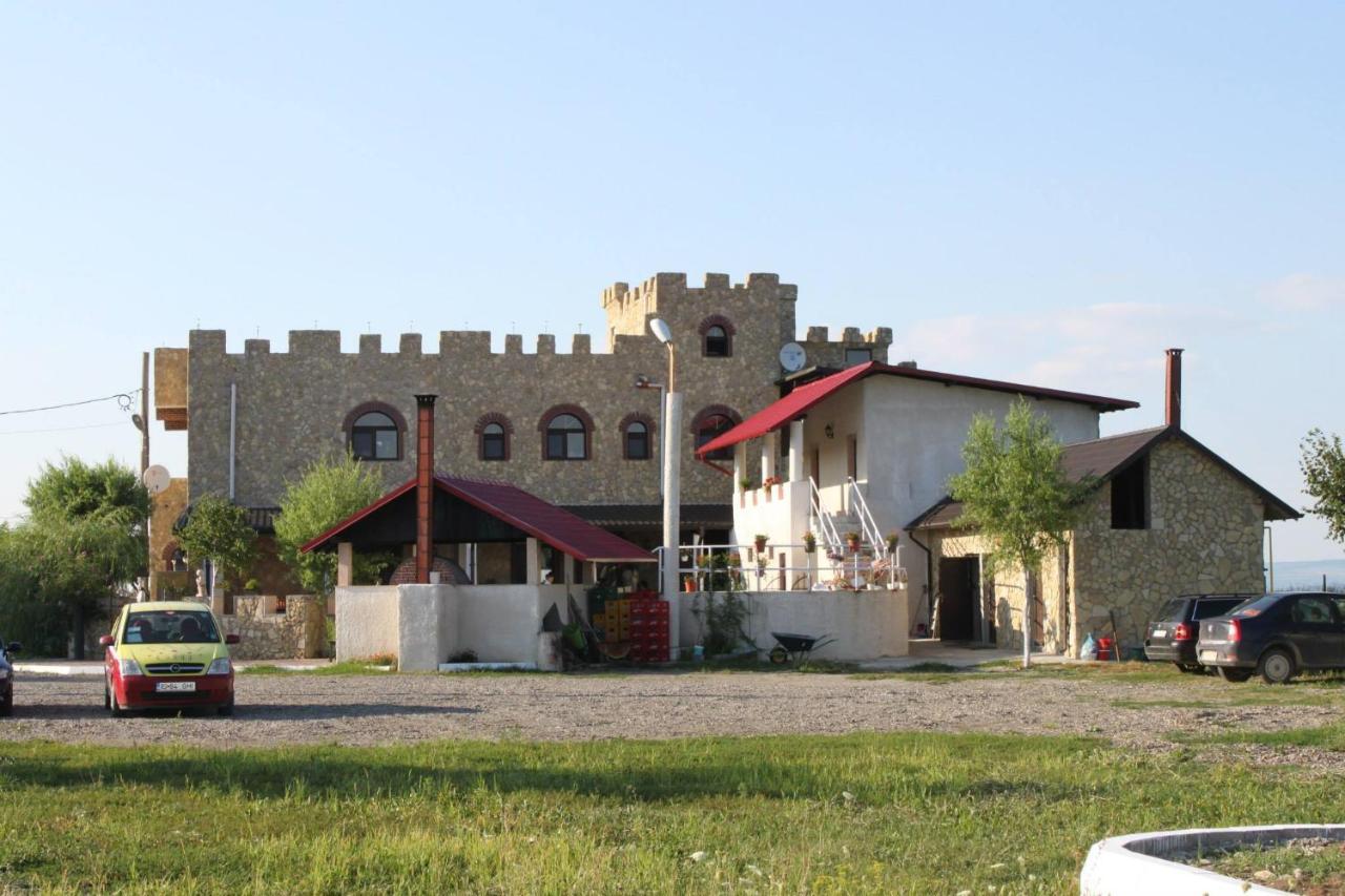 Royal Castle Hotel Pascani Bagian luar foto